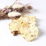 Pineapple Slices Tea Supplier - Dried Organic Bulk