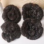 Ganoderma Mushroom Supplier - Wild Dried Reishi