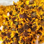Snow Chrysanthemum Tea Manufacturer - Tian Shan Xue Ju