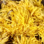 Golden Chrysanthemum Tea Supplier - Silk Royal Flower