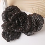 Ganoderma Mushroom Supplier - Wild Dried Reishi