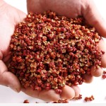 Sichuan Pepper Manufacturer - Red Hemp Chili
