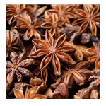 Star Anise Supplier - Organic Chinese Spice