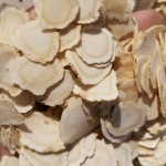 Ginseng Root Slice Supplier - Natural Dried Tea