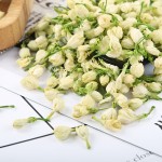 Jasmine Bud Tea Supplier - Mo Li Hua Natural