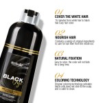 Natural Argan Oil Extract Plant Permanent Black Hair Color Dye Shampoo for Covering Gray Hair