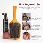 Professional Wooden Hair Massage Brush Comb Custom Logo Detangling Scalp Massager Plastic Handle Fashion Style Home Salon Use
