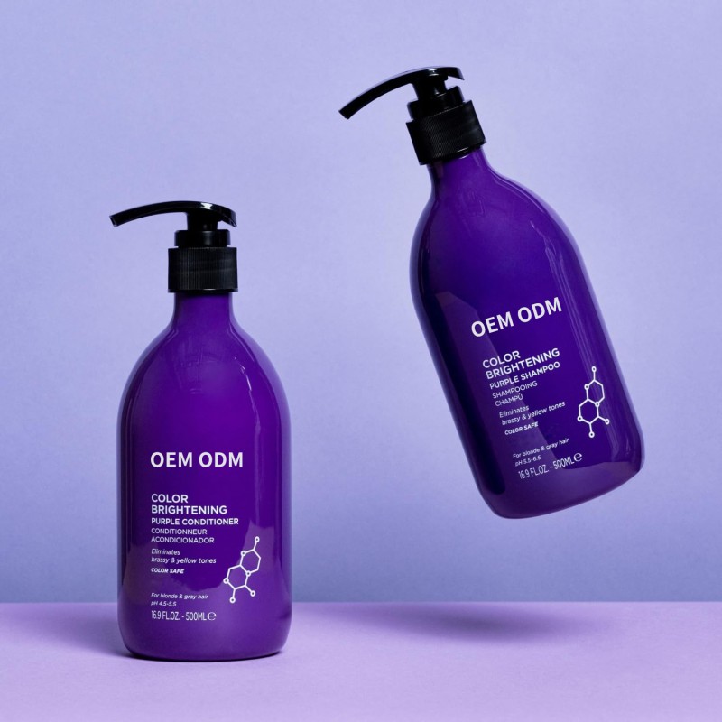 OEM Anti-Brassy Salon Quality Purple Hair Shampoo and Conditioner 300ml Cream Hair Care for Blond Hair Home Use