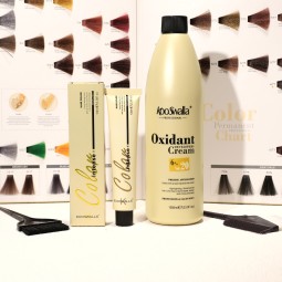 Wholesale Private Label 9 Degree Hair Color System Hair Dye Smooth Glossy Not Pungent