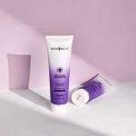 OEM ODM Sulfate Free Remove Yellow Anti Brassy Grey Hair Toning Conditioner Purple Silver Shampoo for Blond Hair