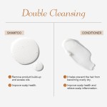 Natural Herbal Scalp-Cleaning Shampoo Oil-Control Anti-Dandruff Private Label Manufacturers for Adults Cream Form