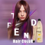 China Professional Manufacturer Kooswalla Organic and Low Ammonia Hair Color Dye