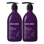 OEM Anti-Brassy Salon Quality Purple Hair Shampoo and Conditioner 300ml Cream Hair Care for Blond Hair Home Use
