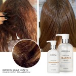Natural Herbal Scalp-Cleaning Shampoo Oil-Control Anti-Dandruff Private Label Manufacturers for Adults Cream Form