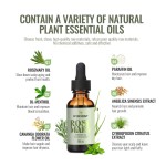 Wholesale Organic and 100% Natural Formula Herbal Rosemary Mint Scalp & Hair Strengthening Oil Hair Growth Oil