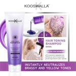 Private Label No Yellow Shampoo Violet Silver Shampoo Salon Quality Purple Shampoo for Blonde Hair