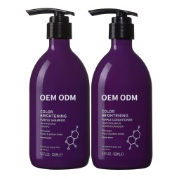 Chinese Manufacturer Paraben Free Hair Repair Shiny Silver Shampoo and Conditioner for Brassy Hair