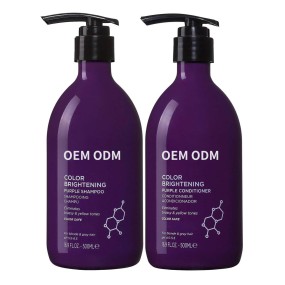 Chinese Manufacturer Paraben Free Hair Repair Shiny Silver Shampoo and Conditioner for Brassy Hair
