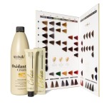 Kooswalla Fashion Low Ammonia PPD Free Organic and Natural Permanent Hair Color Hair Dye With China