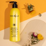 Private Label Kooswalla Organic and Pure Argan Oil Sulfate Free Shampoo Protein for Hair