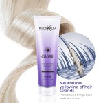 OEM ODM Sulfate Free Remove Yellow Anti Brassy Grey Hair Toning Conditioner Purple Silver Shampoo for Blond Hair