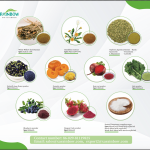 Cornflower Tea Supplier - Organic Loose Petals Bulk