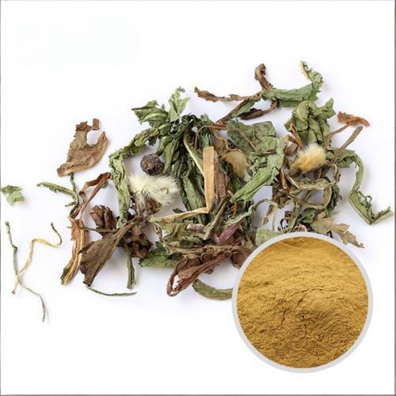 Dandelion Powder Factory - Natural Organic Herbal