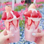 Freeze Dried Strawberry Supplier - Sugar Sweet Bakery