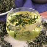 Dandelion Root Supplier - Chinese Herbal Medicine Wholesale