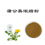 Dandelion Powder Factory - Natural Organic Herbal