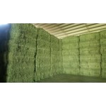 Alfalfa Powder Supplier - Natural Organic Green