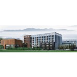 Tomato Powder Manufacturer - Dehydrated Vegetable