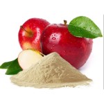 Apple Powder Manufacturer - Natural Organic Fruit