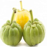 Garcinia Extract Factory - Cambogia Pure Powder OEM