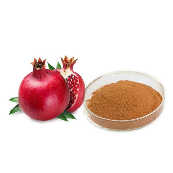 Pomegranate Extract Manufacturer - Peel Powder Pure
