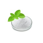 WS-23 Factory - Food Additive Cooling Agent