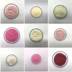 Kiwi Powder Manufacturer - Natural Organic Fruit