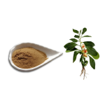 Ashwagandha Extract Manufacturer - 1% 5% Withanolides
