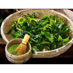 Matcha Powder Factory - 100% Organic Ice Cream