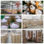 Matcha Powder Factory - Natural Organic Tea