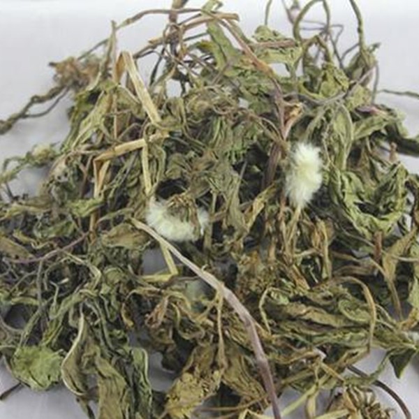 Dandelion Root Supplier - Chinese Herbal Medicine Wholesale