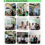 Matcha Powder Manufacturer - 100% Organic Green Tea Powder