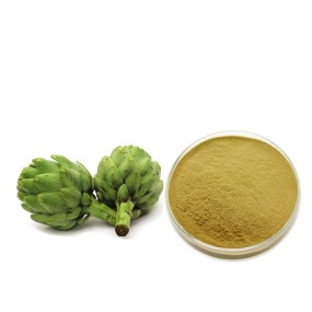 Artichoke Extract Manufacturer - 2.5% 5% Cynarin Powder