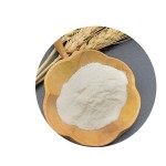 Sodium Metabisulfite Supplier - High Quality Powder