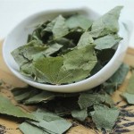 Epimedium Extract Manufacturer - 10% 20% Icariin