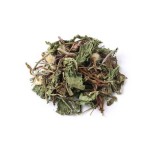 Dandelion Root Supplier - Chinese Herbal Medicine Wholesale