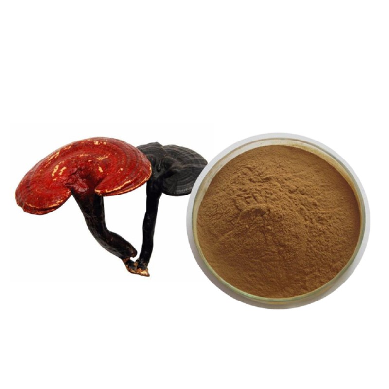 Reishi Extract Supplier - 30% Polysaccharide Mushroom