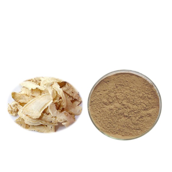 Dong Quai Extract Supplier - 1% Ligustilide Angelica