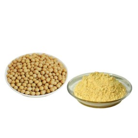 Soybean Extract Supplier - 80% Isoflavone Powder Natural