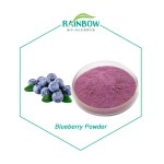 Blueberry Flavor Supplier - Fruit Flavor Powder